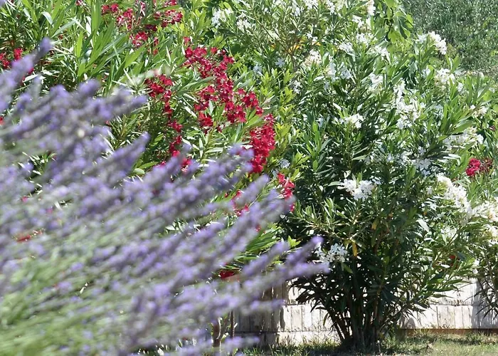 Banjka Апартаменты *