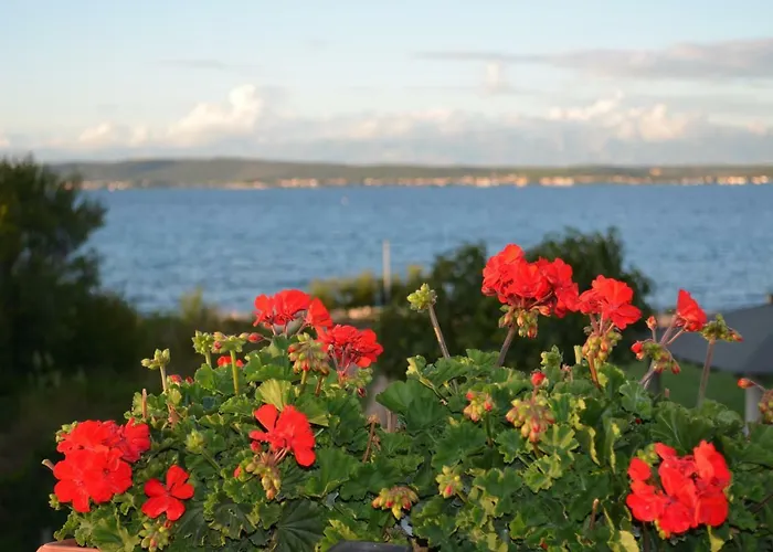 Banjka Апартаменты